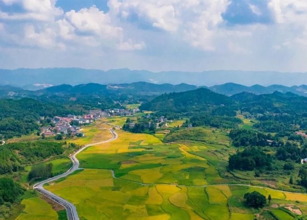 加快建設(shè)農(nóng)業(yè)強國，新儀持續(xù)注入力量！